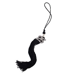 15 in Graduation Tassel with Silver Bling 2025 Charm