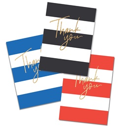 4 in x 6 in Color Stripes Thank You Notes, pkg of 20